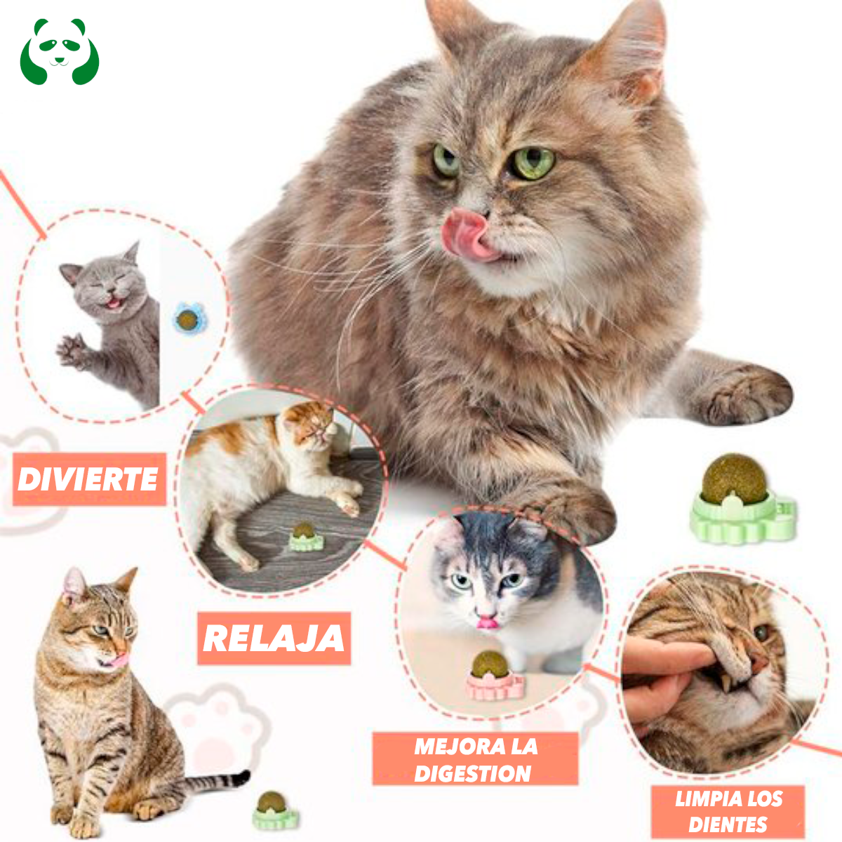 LovelyBall™ - Bola encantadora para gatos